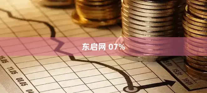 东启网 07%